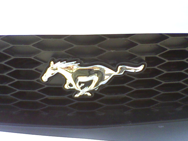 Značka Ford Mustang .jpg