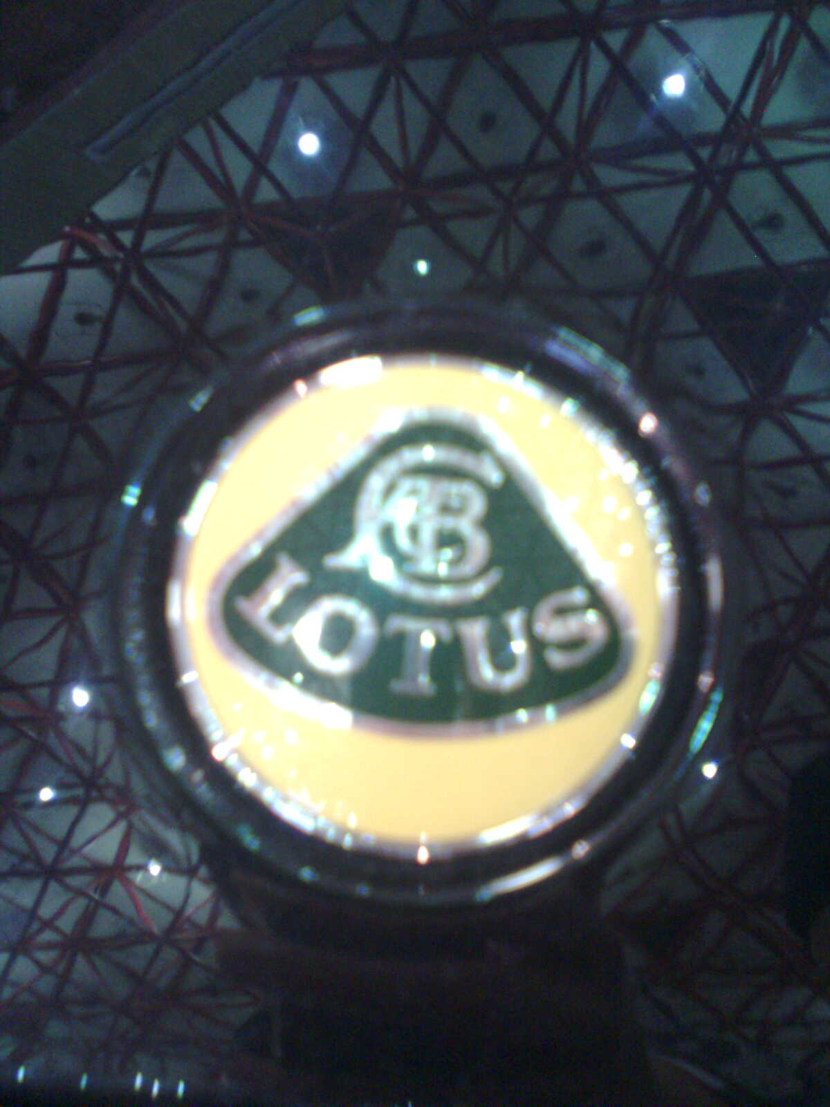 Značka Lotus 2.jpg